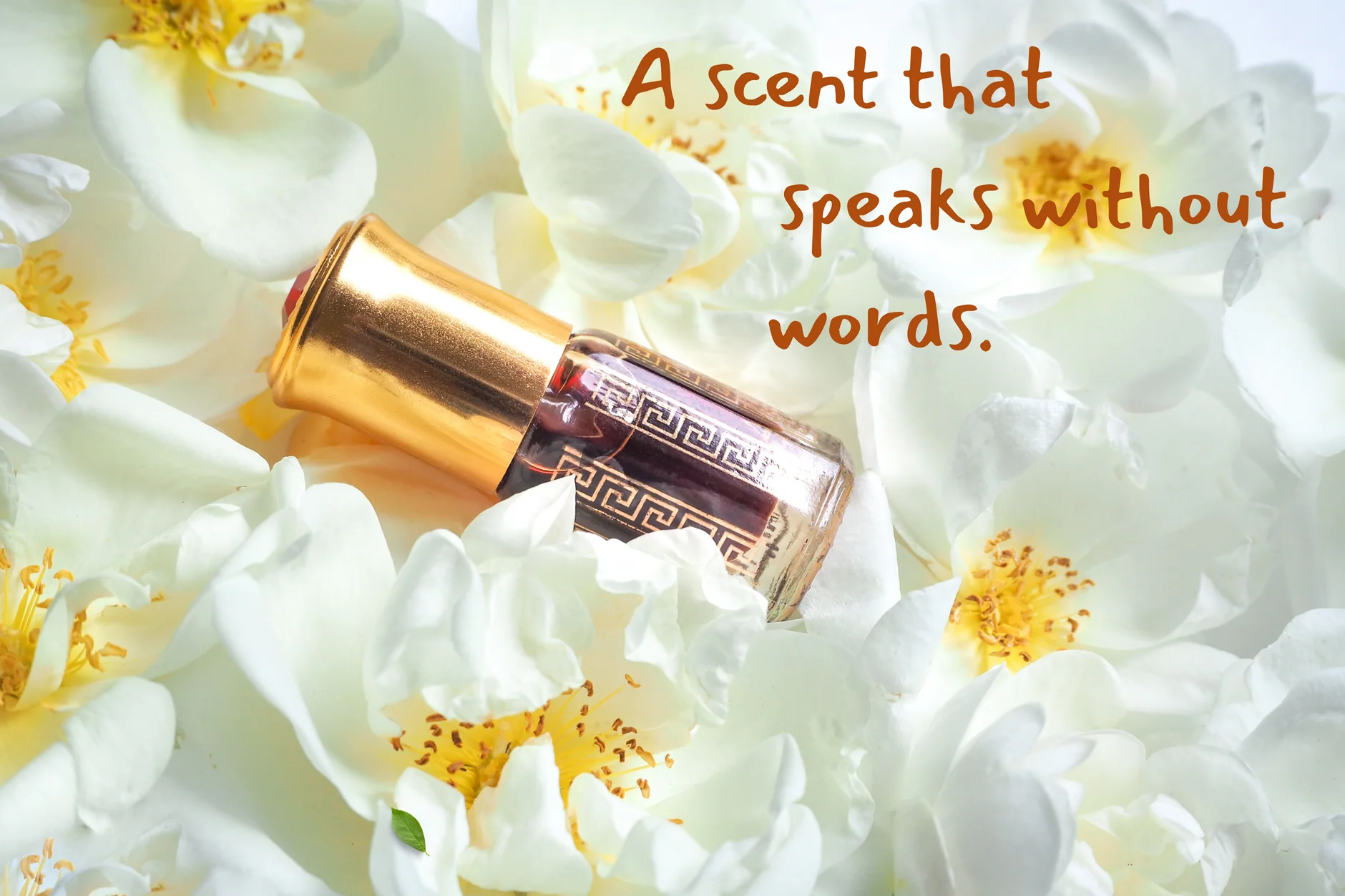 attar for daily wear unisex