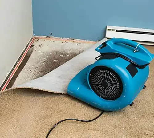 flood cleanup ottawa