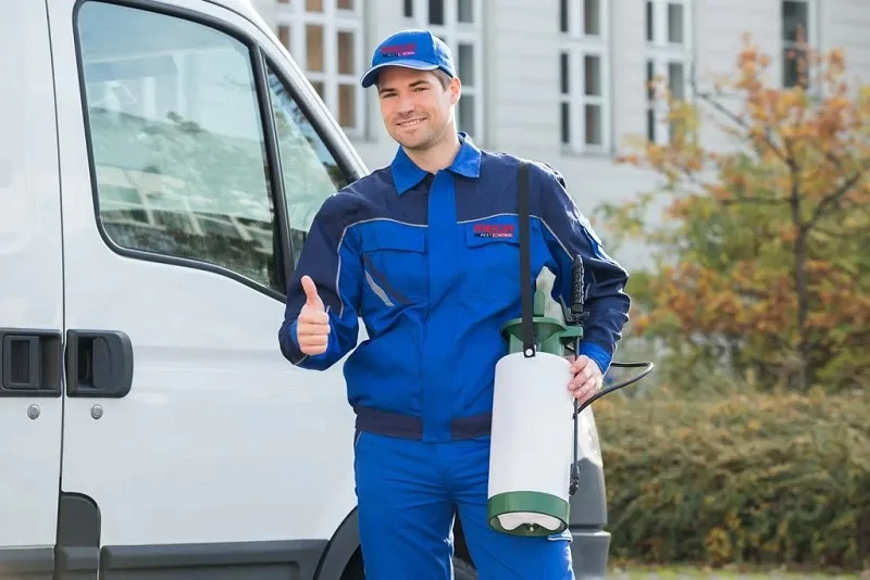 Rat Control Surrey