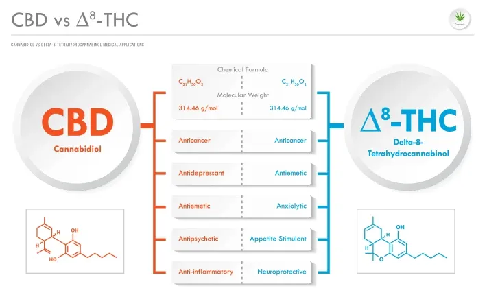 Cannabis cannabinoids explained
