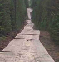 ent_image